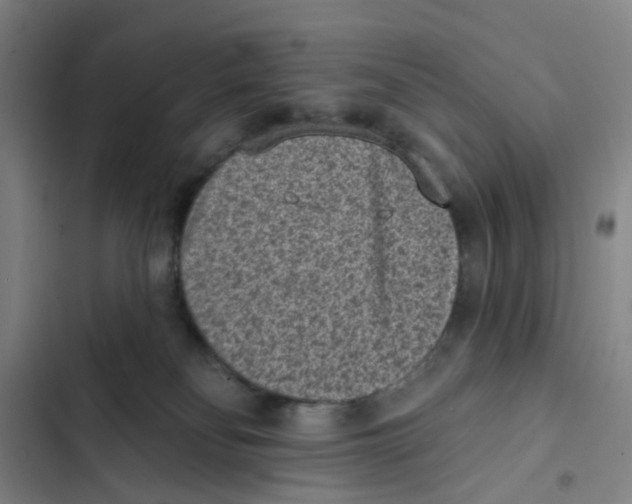 X0000102360134200808291234