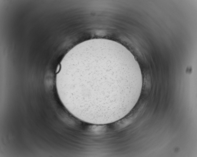 X0000102360135200808291234