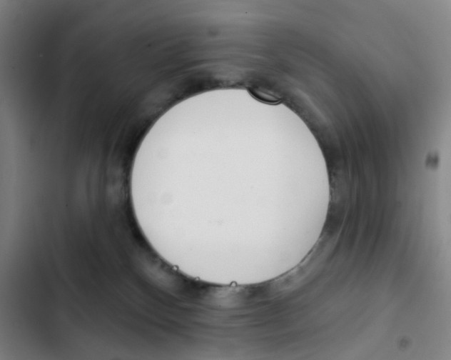 X0000102360136200808291234