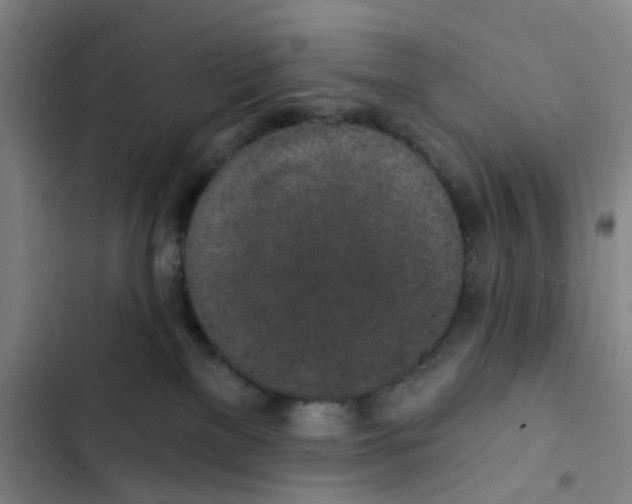 X0000102360137200808291234