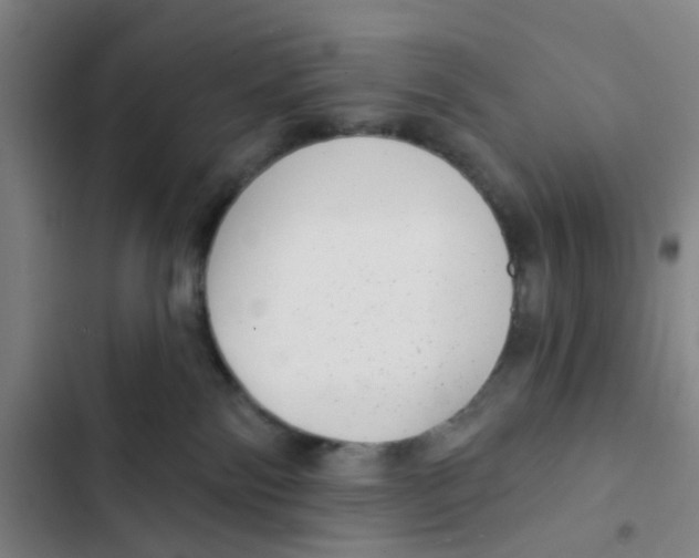 X0000102360138200808291234