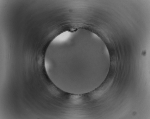 X0000102360139200808291234