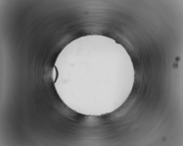 X0000102360141200808291234