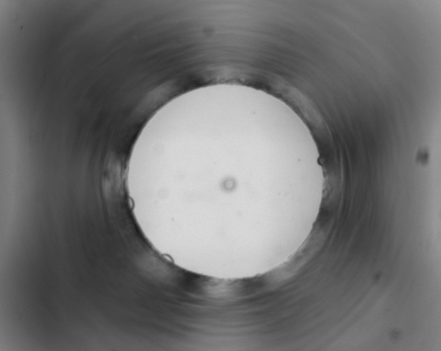 X0000102360142200808291234