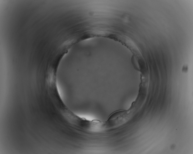 X0000102360143200808291234