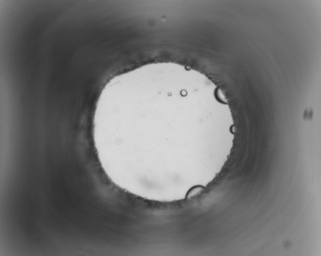 X0000102360144200808291234
