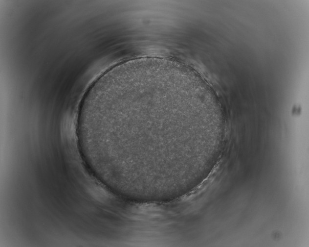 X0000102360146200808291233