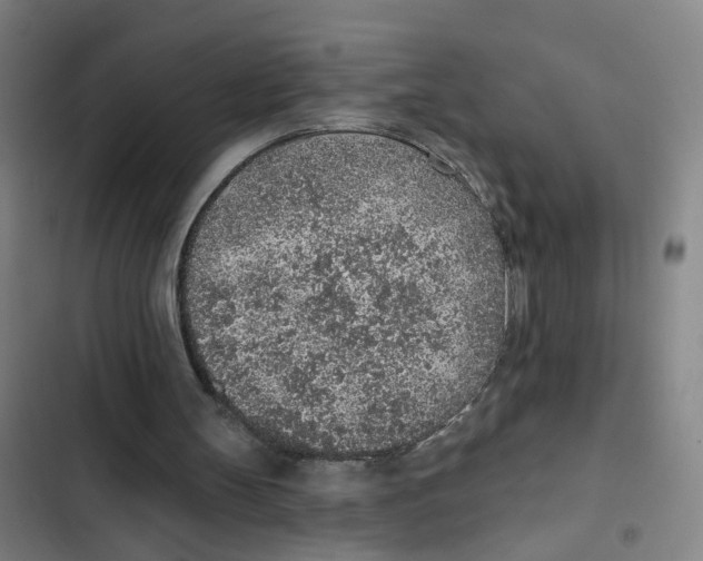 X0000102360147200808291233
