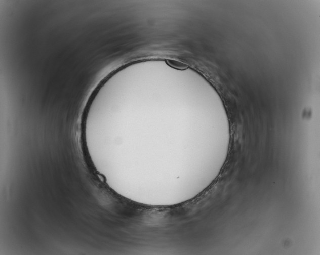 X0000102360148200808291233