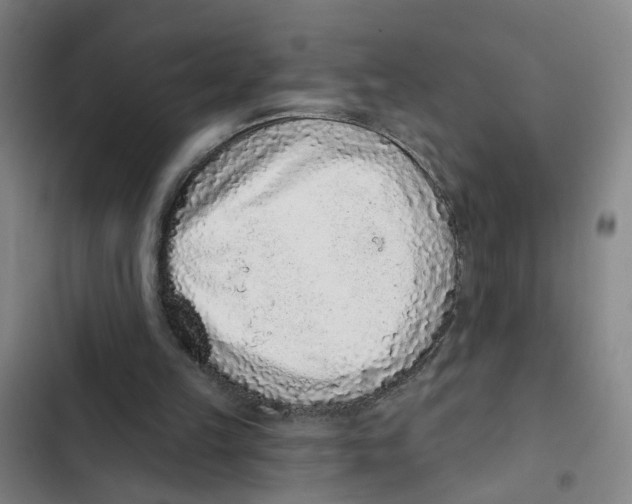 X0000102360149200808291233