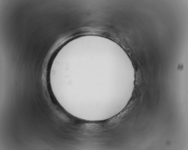 X0000102360150200808291233