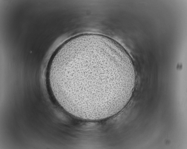 X0000102360151200808291233