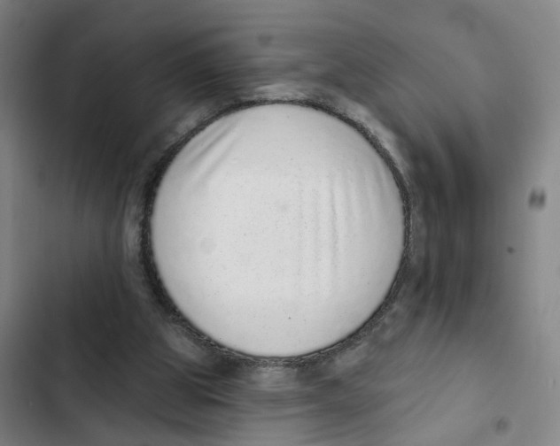 X0000102360153200808291233