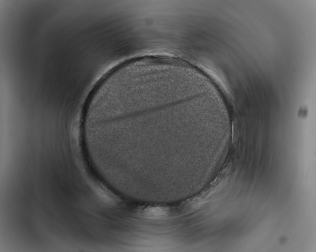 X0000102360156200808291233