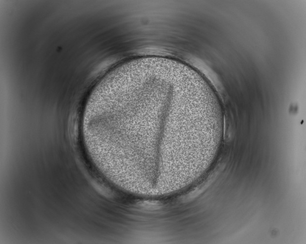 X0000102360157200808291233