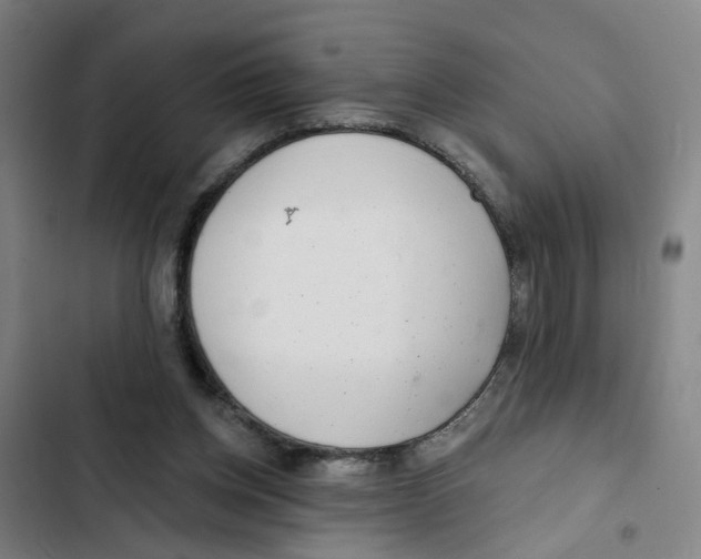 X0000102360158200808291233