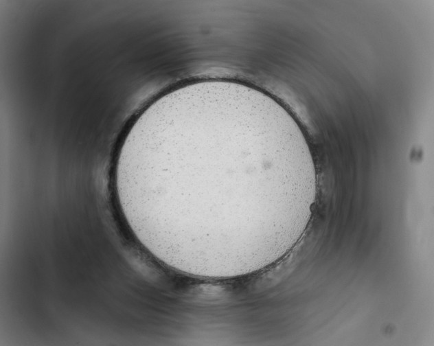 X0000102360159200808291233