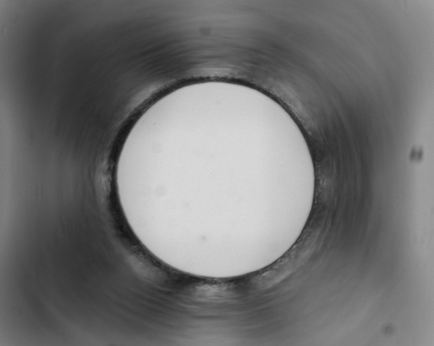 X0000102360160200808291233