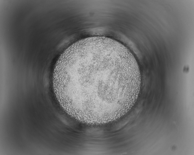 X0000102360161200808291233