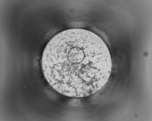 X0000102360162200808291233