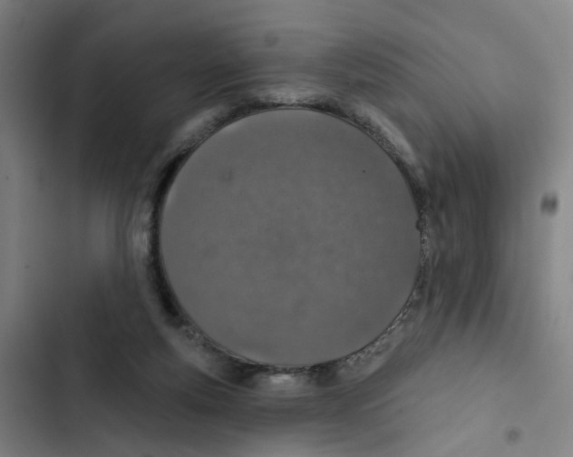 X0000102360163200808291233