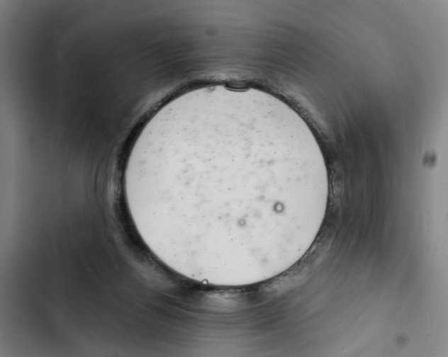 X0000102360164200808291233