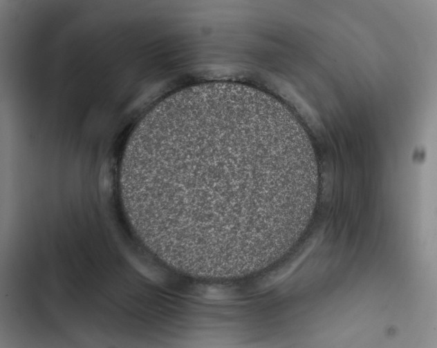 X0000102360165200808291233