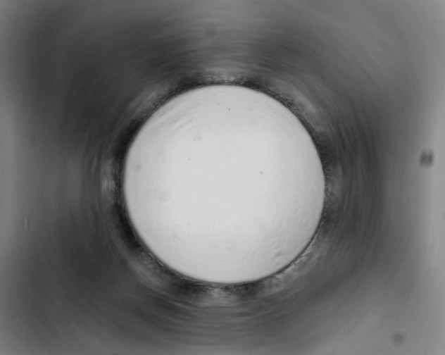 X0000102360166200808291233