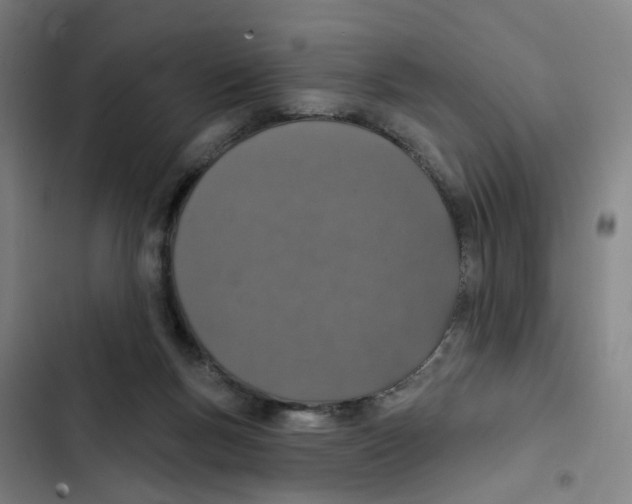 X0000102360167200808291233