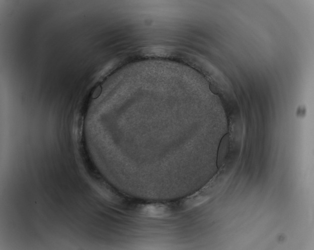 X0000102360168200808291233