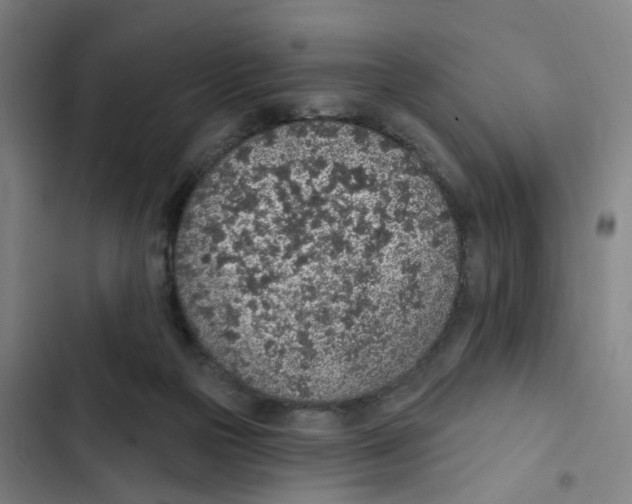 X0000102360169200808291233