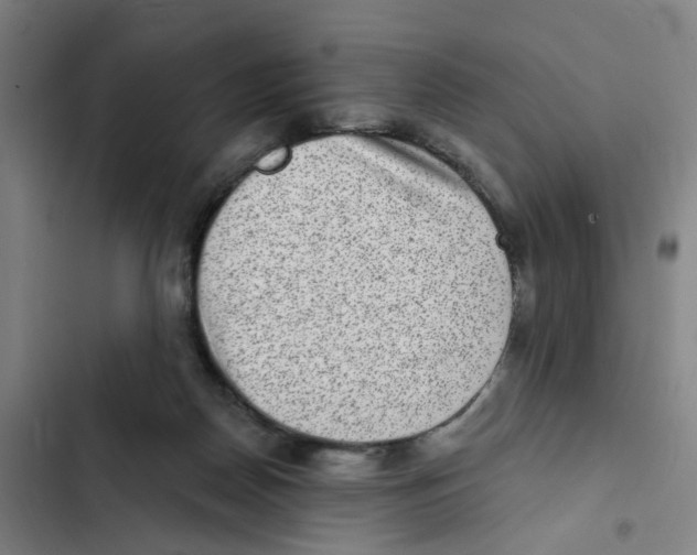X0000102360170200808291233