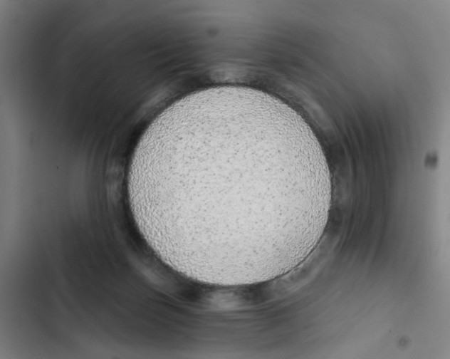 X0000102360171200808291233