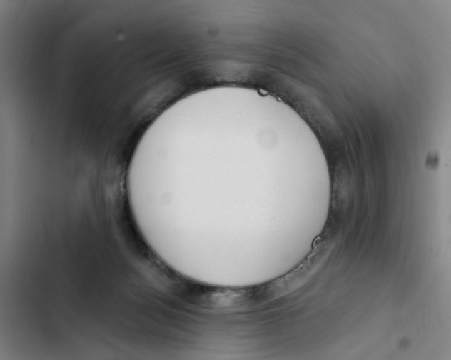 X0000102360172200808291233