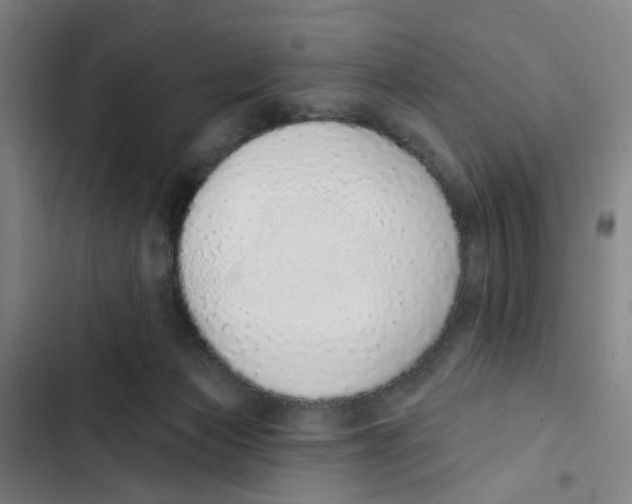 X0000102360173200808291233