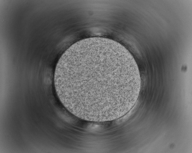 X0000102360174200808291233