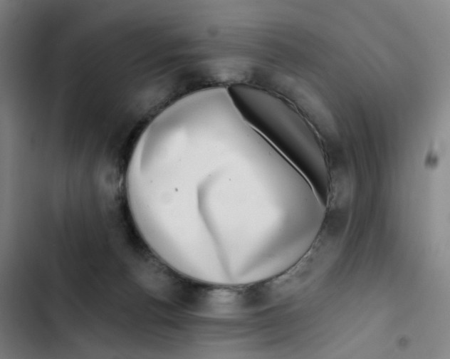 X0000102360176200808291233