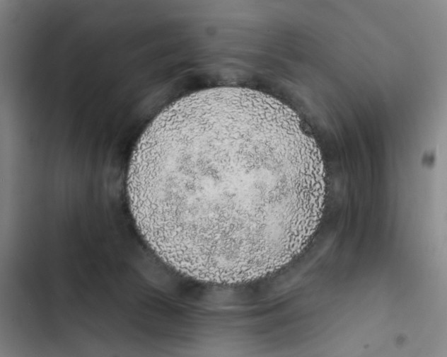 X0000102360177200808291233
