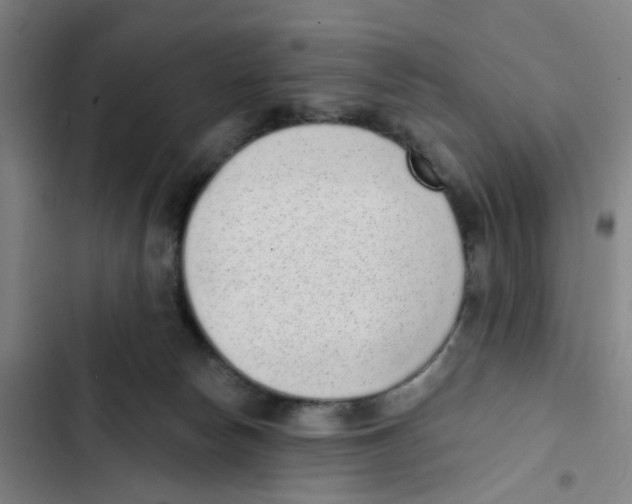 X0000102360178200808291234