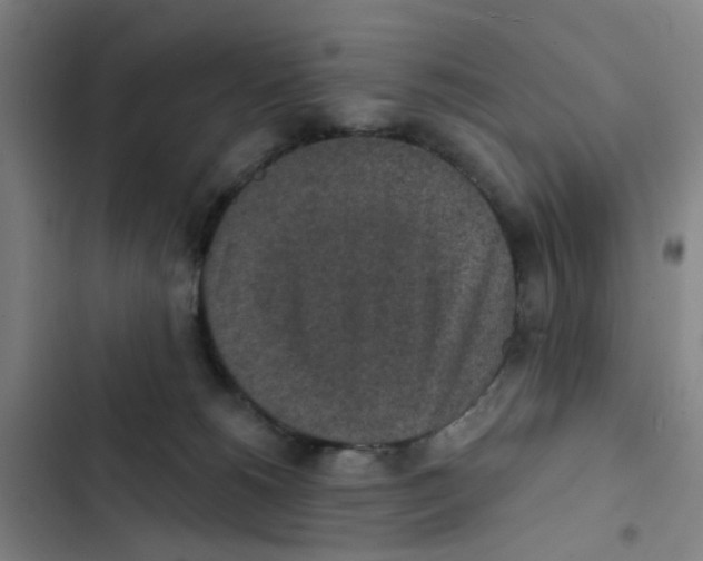 X0000102360180200808291234