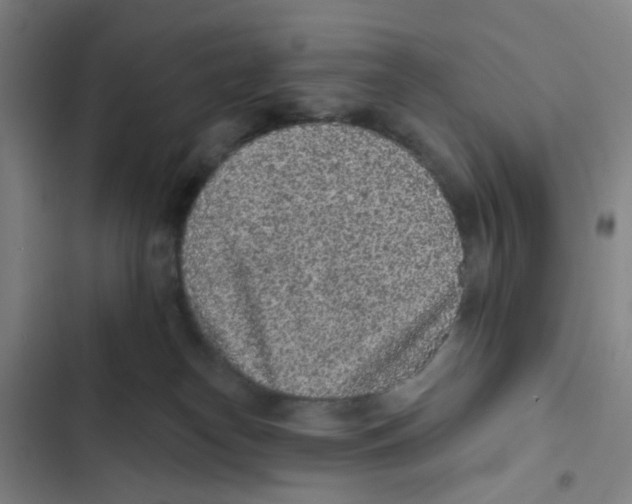 X0000102360182200808291234