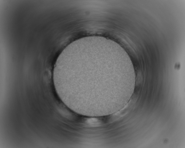 X0000102360183200808291234
