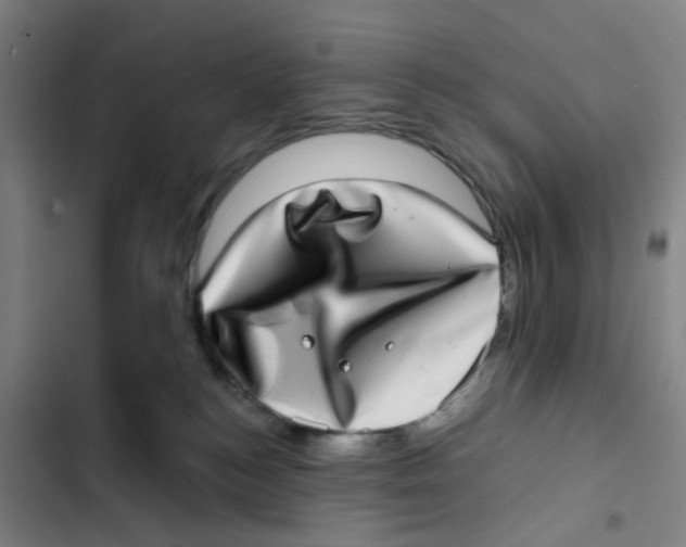 X0000102360184200808291234