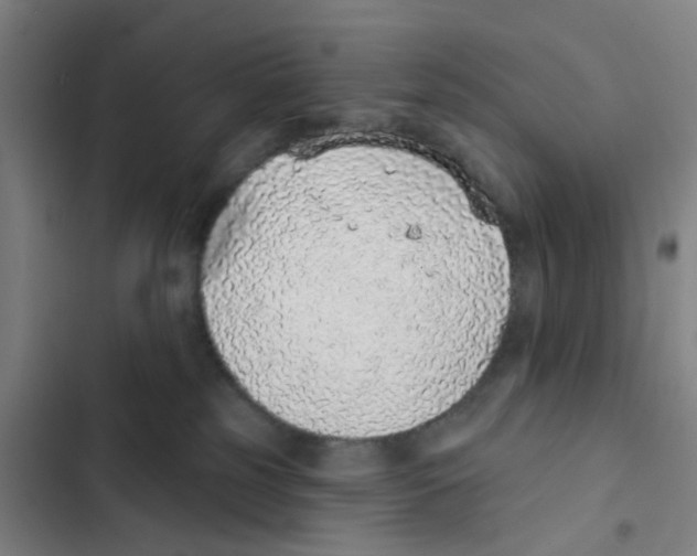 X0000102360185200808291234