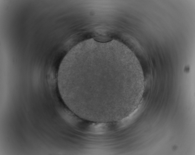 X0000102360186200808291234