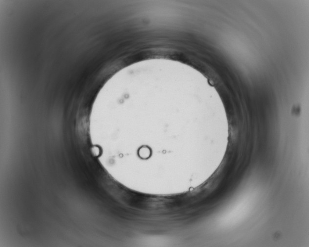 X0000102360190200808291234