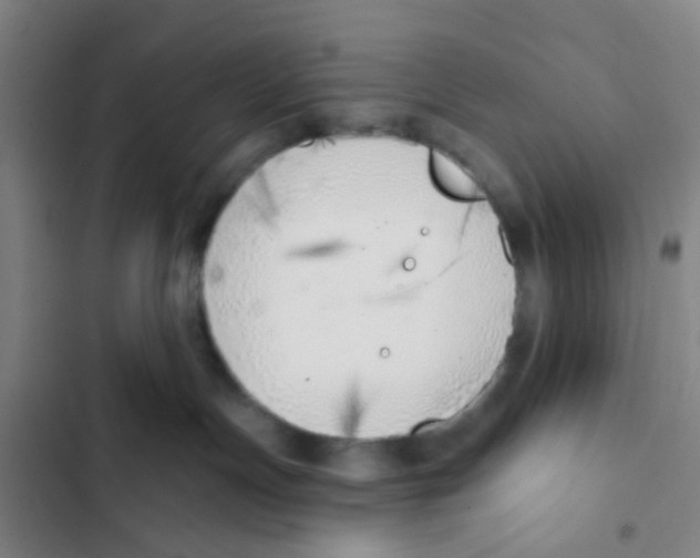 X0000102360191200808291234