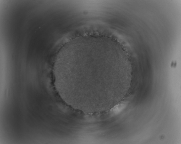 X0000102360192200808291234