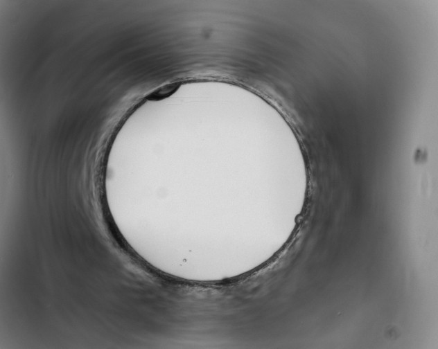 X0000102360193200808291233
