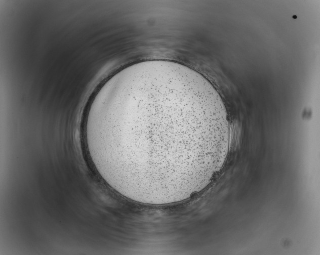 X0000102360195200808291233